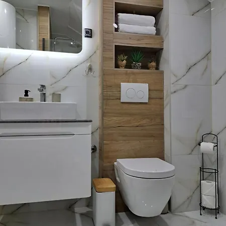 Mihaela Apartment Laktasi